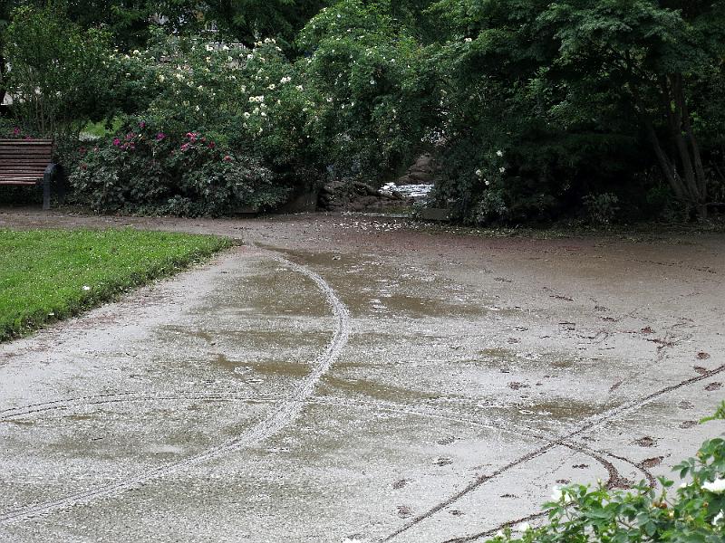Hochwasser (307).JPG